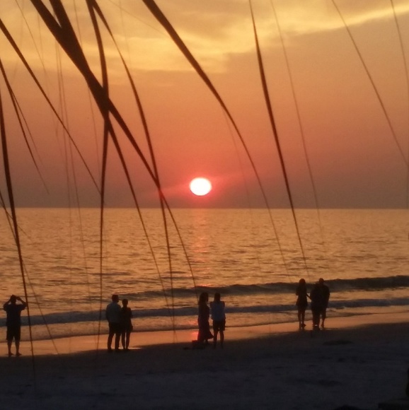 Meet your Posher, Antonette - Picture 2 of 2